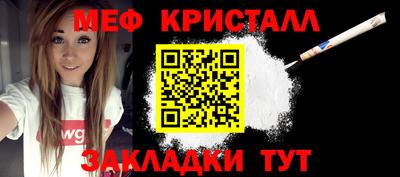 крисы Можга