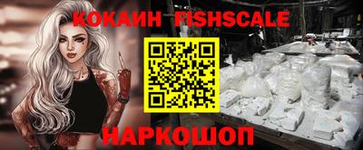 крисы Можга