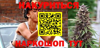 крисы Можга