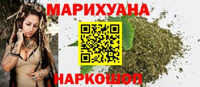 крисы Можга