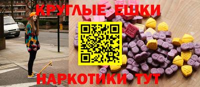 крисы Можга