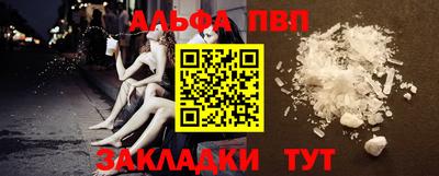 крисы Можга