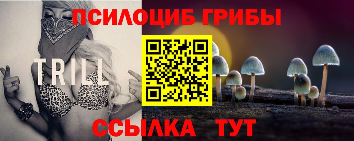 Псилоцибиновые грибы Magic Shrooms  Псилоцибиновые грибы Psilocybe  Вход с VPN  Зеленокумск 